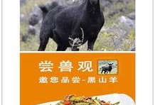 电影野味十足在线观看,一场惊心动魄的生存冒险之旅